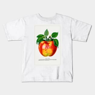 Wolf River Apple Lithograph (1900) Kids T-Shirt